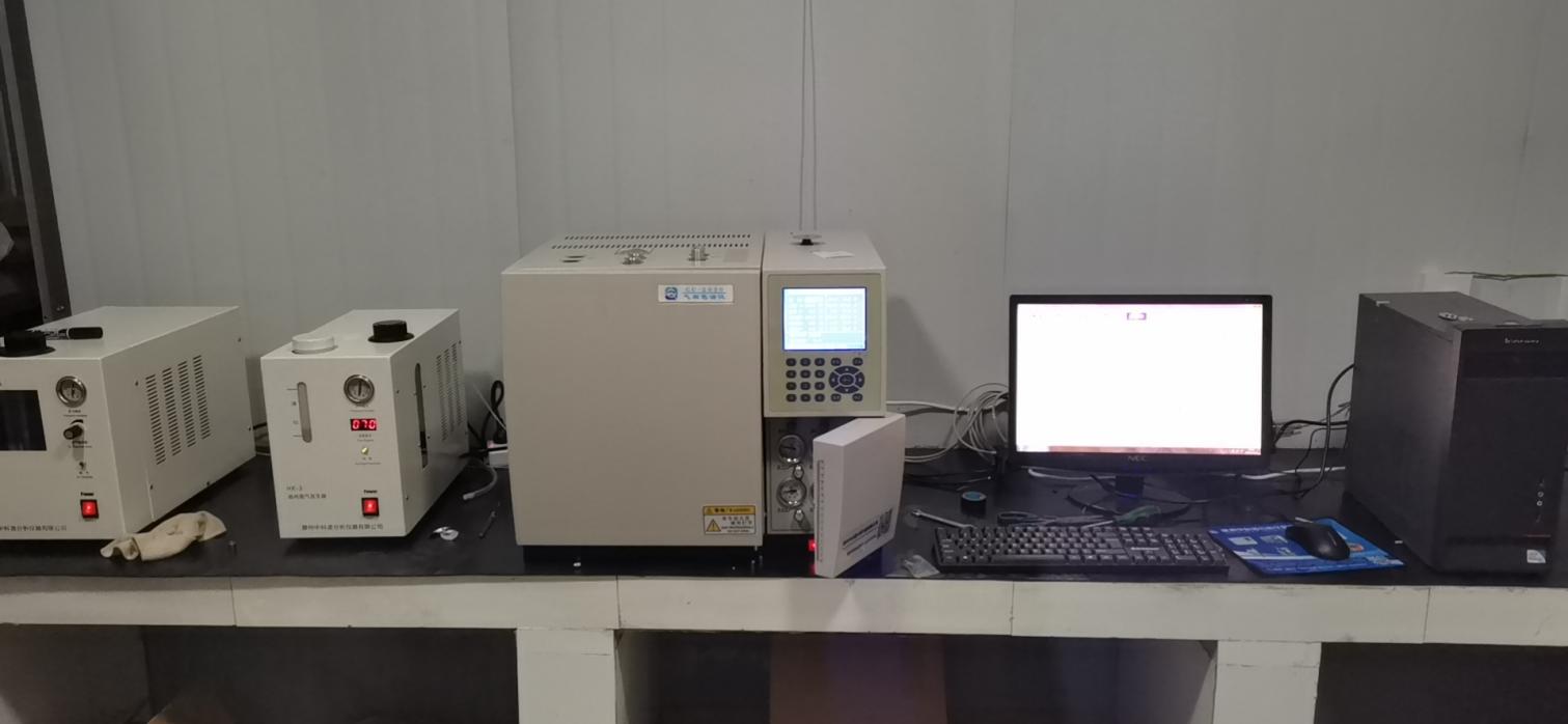 GC-2020型气相色谱仪